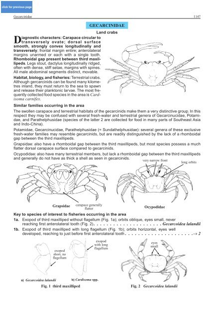 FAO Species Identification Guide for Fishery Purposes Western