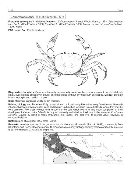 FAO Species Identification Guide for Fishery Purposes Western