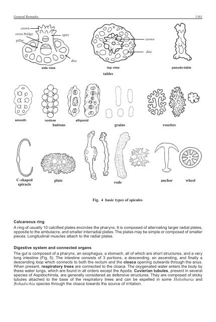 FAO Species Identification Guide for Fishery Purposes Western