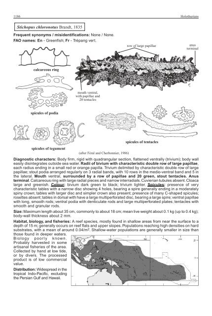 FAO Species Identification Guide for Fishery Purposes Western