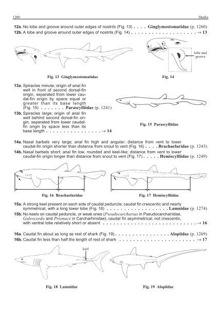 FAO Species Identification Guide for Fishery Purposes Western