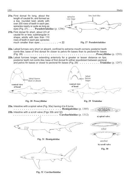 FAO Species Identification Guide for Fishery Purposes Western