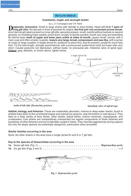 FAO Species Identification Guide for Fishery Purposes Western