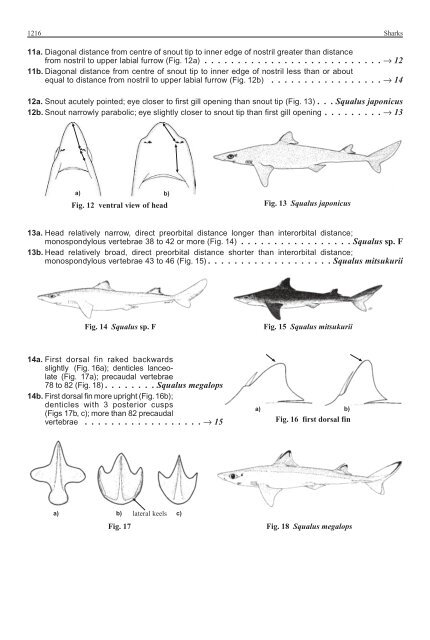 FAO Species Identification Guide for Fishery Purposes Western