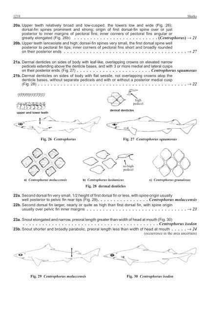 FAO Species Identification Guide for Fishery Purposes Western