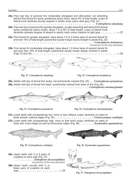 FAO Species Identification Guide for Fishery Purposes Western