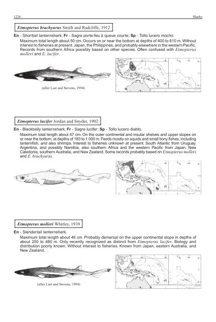 FAO Species Identification Guide for Fishery Purposes Western