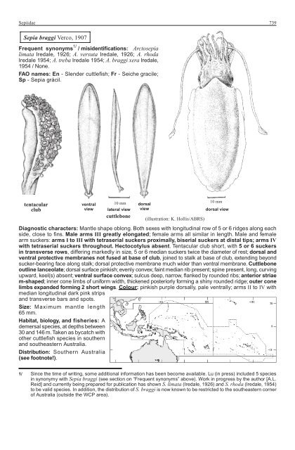 FAO Species Identification Guide for Fishery Purposes Western