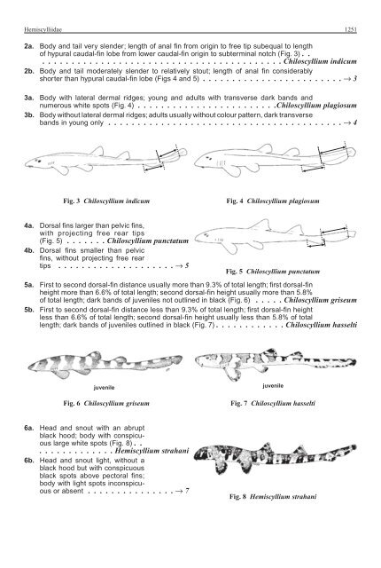 FAO Species Identification Guide for Fishery Purposes Western