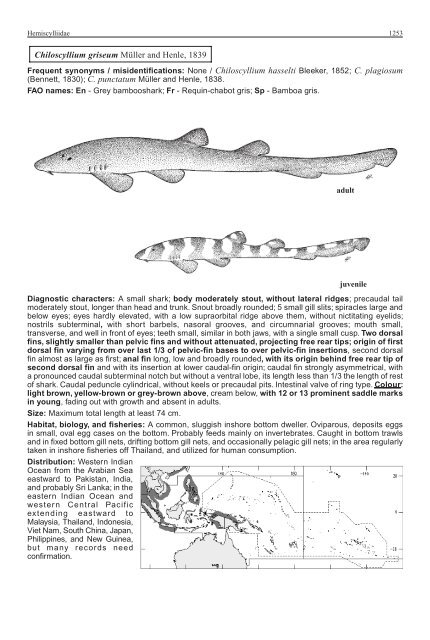 FAO Species Identification Guide for Fishery Purposes Western