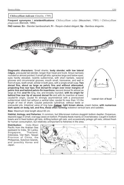 FAO Species Identification Guide for Fishery Purposes Western