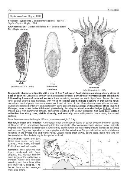 FAO Species Identification Guide for Fishery Purposes Western