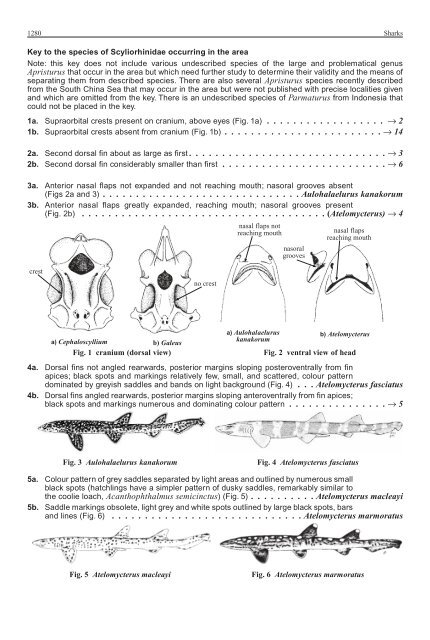 FAO Species Identification Guide for Fishery Purposes Western