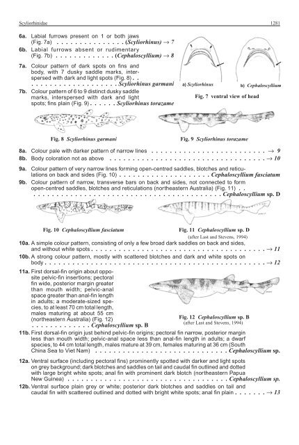 FAO Species Identification Guide for Fishery Purposes Western