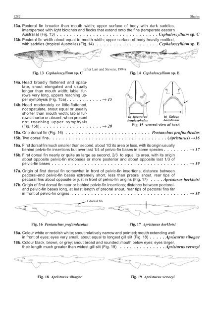 FAO Species Identification Guide for Fishery Purposes Western