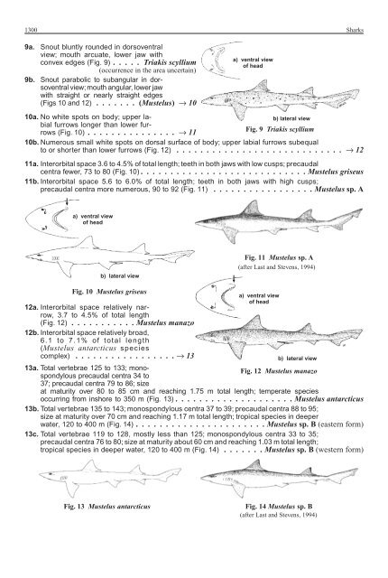 FAO Species Identification Guide for Fishery Purposes Western