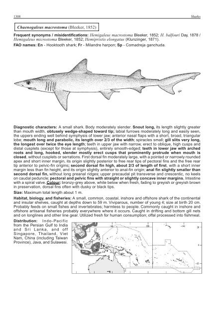 FAO Species Identification Guide for Fishery Purposes Western