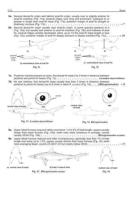 FAO Species Identification Guide for Fishery Purposes Western