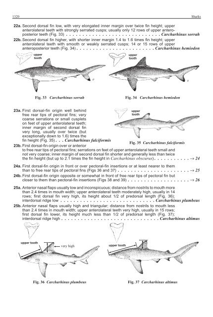 FAO Species Identification Guide for Fishery Purposes Western