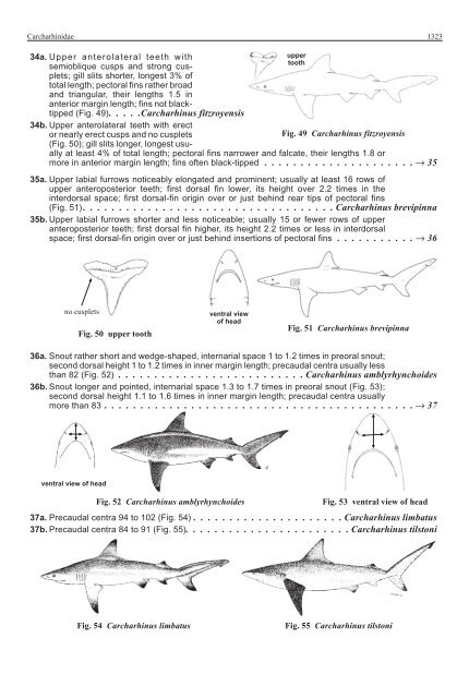 FAO Species Identification Guide for Fishery Purposes Western