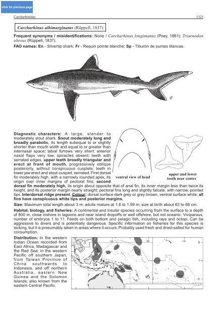 FAO Species Identification Guide for Fishery Purposes Western