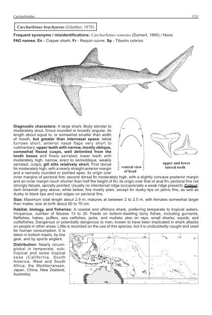 FAO Species Identification Guide for Fishery Purposes Western