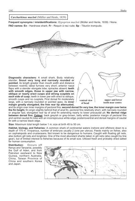 FAO Species Identification Guide for Fishery Purposes Western