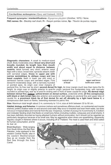 FAO Species Identification Guide for Fishery Purposes Western