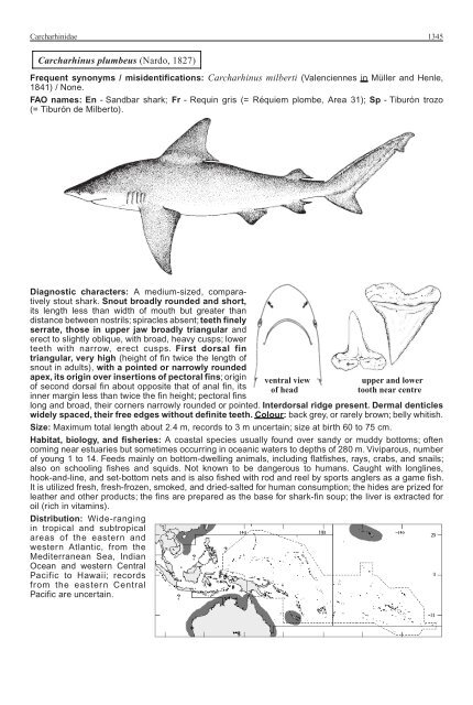 FAO Species Identification Guide for Fishery Purposes Western