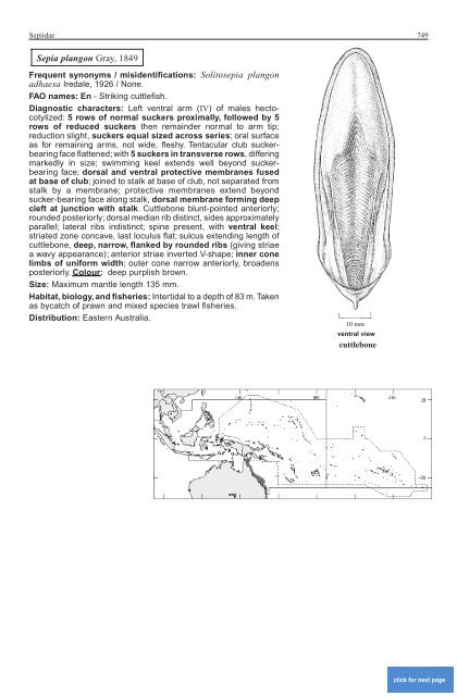 FAO Species Identification Guide for Fishery Purposes Western