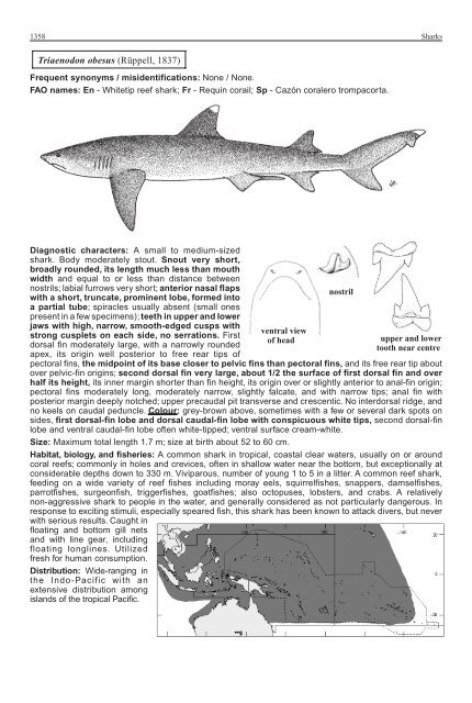 FAO Species Identification Guide for Fishery Purposes Western