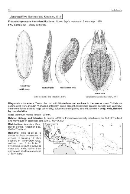 FAO Species Identification Guide for Fishery Purposes Western