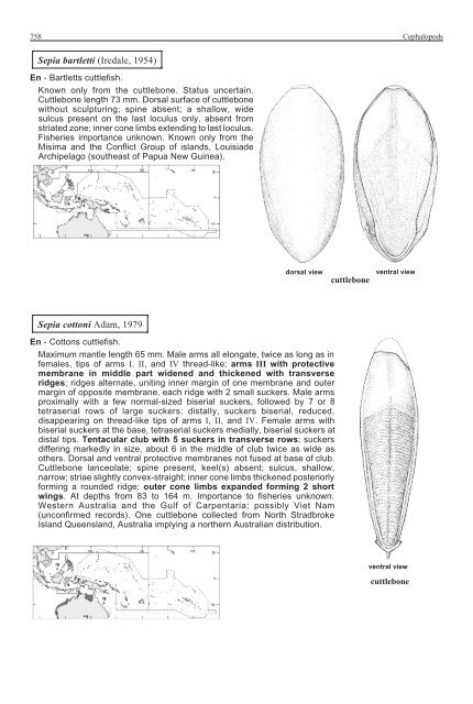 FAO Species Identification Guide for Fishery Purposes Western