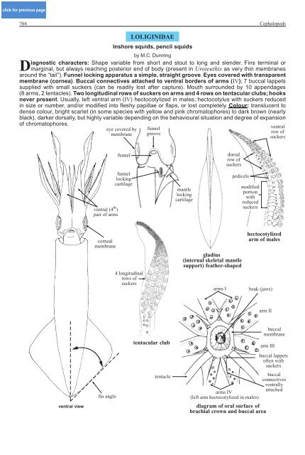 FAO Species Identification Guide for Fishery Purposes Western