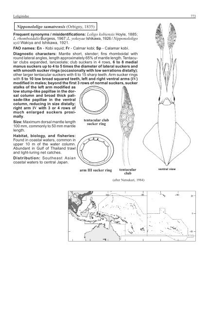 FAO Species Identification Guide for Fishery Purposes Western