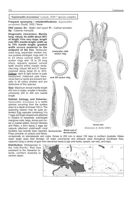 FAO Species Identification Guide for Fishery Purposes Western