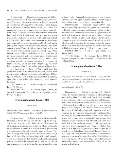 A Generic Revision and Phylogenetic Analysis of the Primnoidae