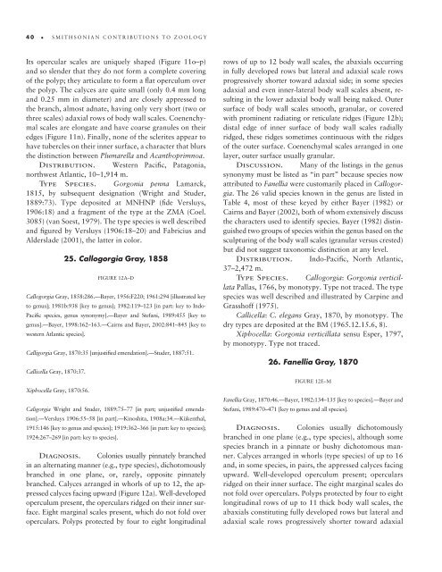 A Generic Revision and Phylogenetic Analysis of the Primnoidae