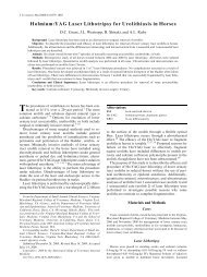 Holmium:YAG Laser Lithotripsy for Urolithiasis in Horses