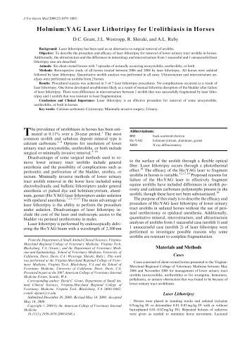 Holmium:YAG Laser Lithotripsy for Urolithiasis in Horses