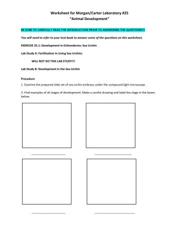 animal 44 development worksheet Animals  Worksheets Antonyms  and Antonym