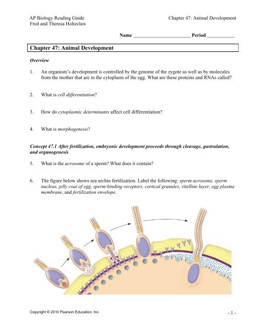 Chapter 47: Animal Development - BiologyJunction Chapter 47: Animal Development - BiologyJunction