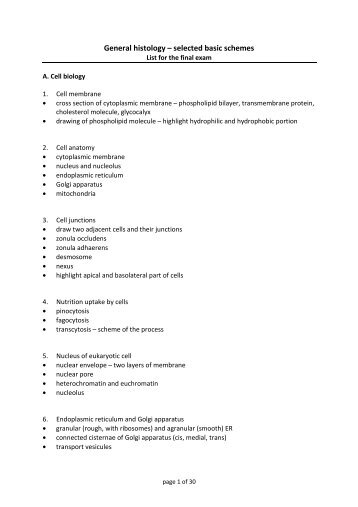 General histology – selected basic schemes