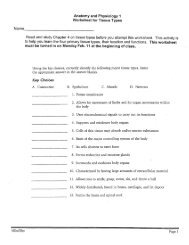 Anatomy and Physiology 1 Worksheet for Tissue Types