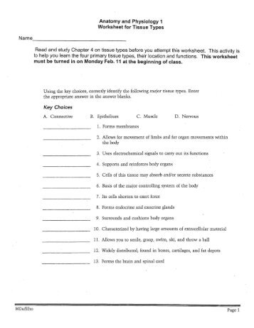 Anatomy and Physiology 1 Worksheet for Tissue Types