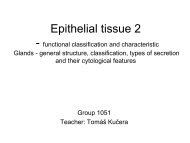 PL_WS5_Epithelial tissue 2.pdf