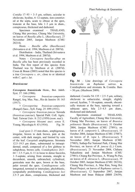 Genus Cercospora in Thailand: Taxonomy and Phylogeny (with a ...