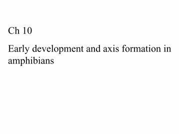 Ch 10 Early development and axis formation in amphibians