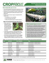 Herbicide Interactions with Corn Rootworm Insecticides - Pioneer