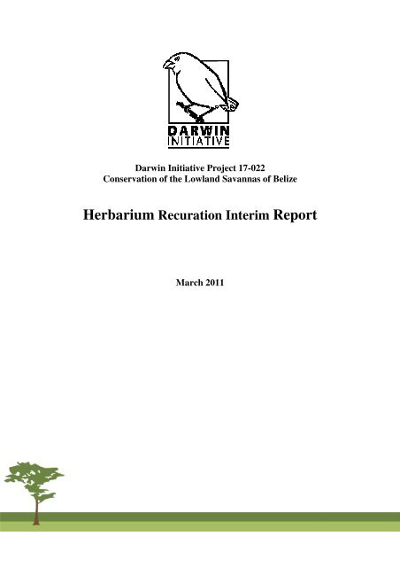 Herbarium Recuration Interim Report - Research